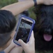 Therapy dogs visit dorm residents