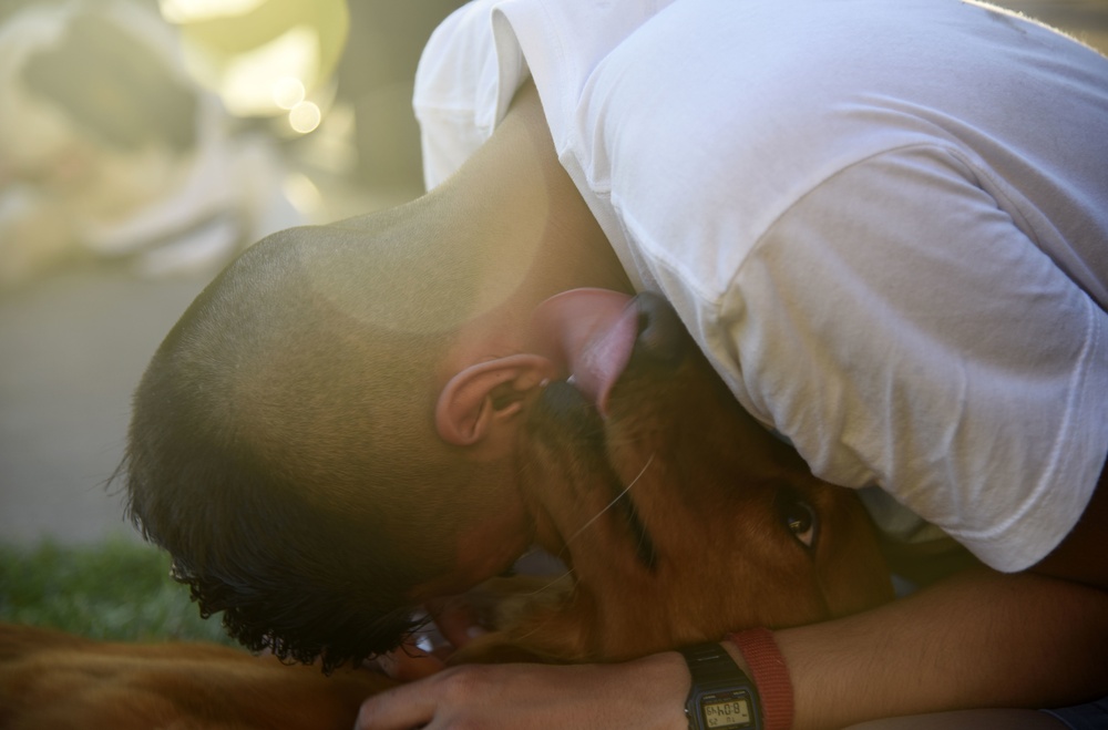 Therapy dogs visit dorm residents