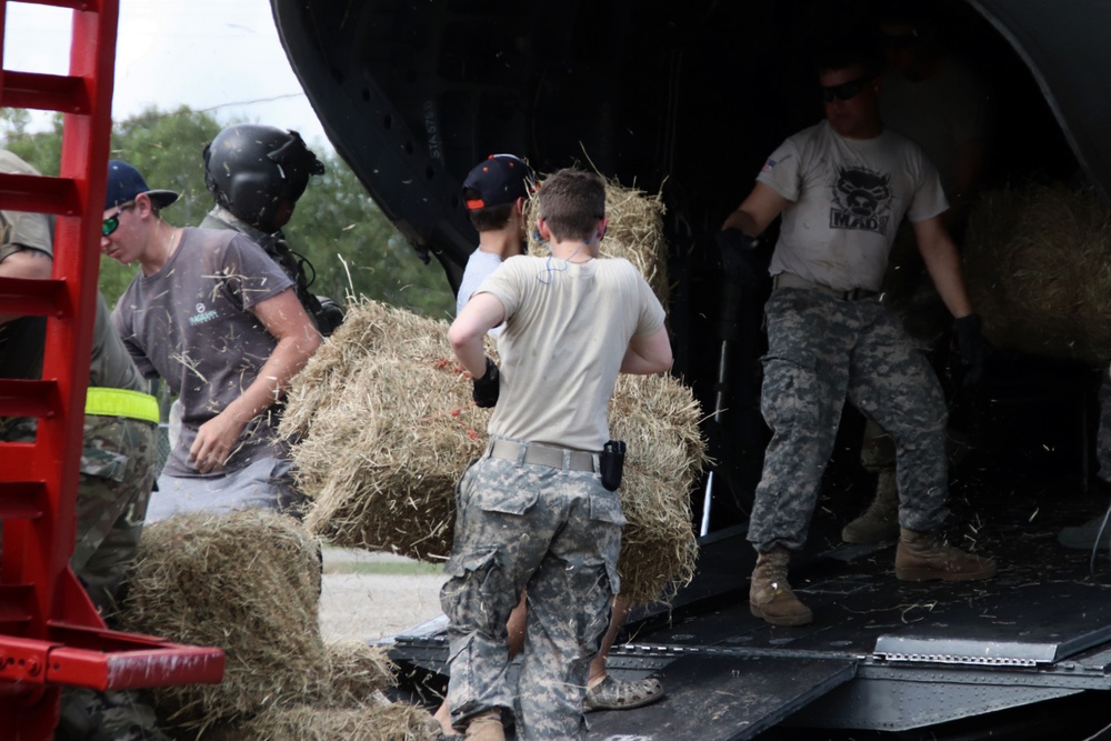 Texas Military Department soldiers and airmen load hay bales as part of Operation Hay Drop