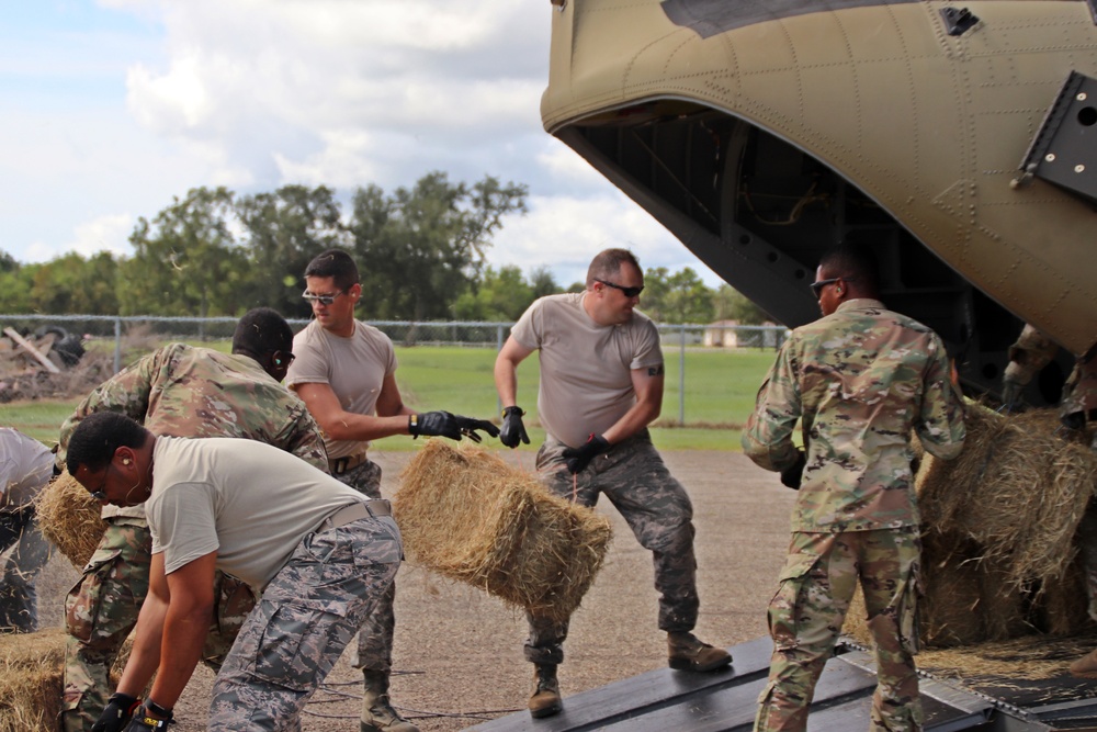 Texas Military Department soldiers and airmen load hay bales as part of Operation Hay Drop