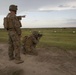 Shoot to Kill: 2nd LAR practices combat marksmanship