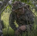 31st MEU Marines refine warfare tactics in the Guam heat
