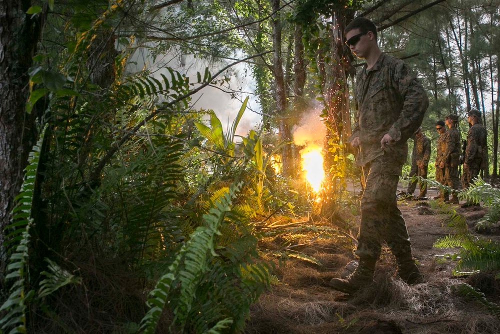 31st MEU Marines train with smoke, fire and grenades in Guam