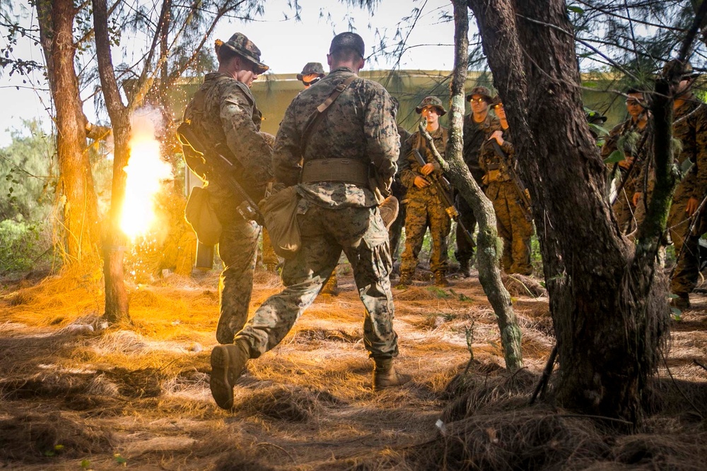 31st MEU Marines train with smoke, fire and grenades in Guam