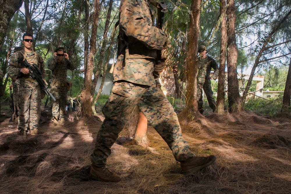 31st MEU Marines train with smoke, fire and grenades in Guam