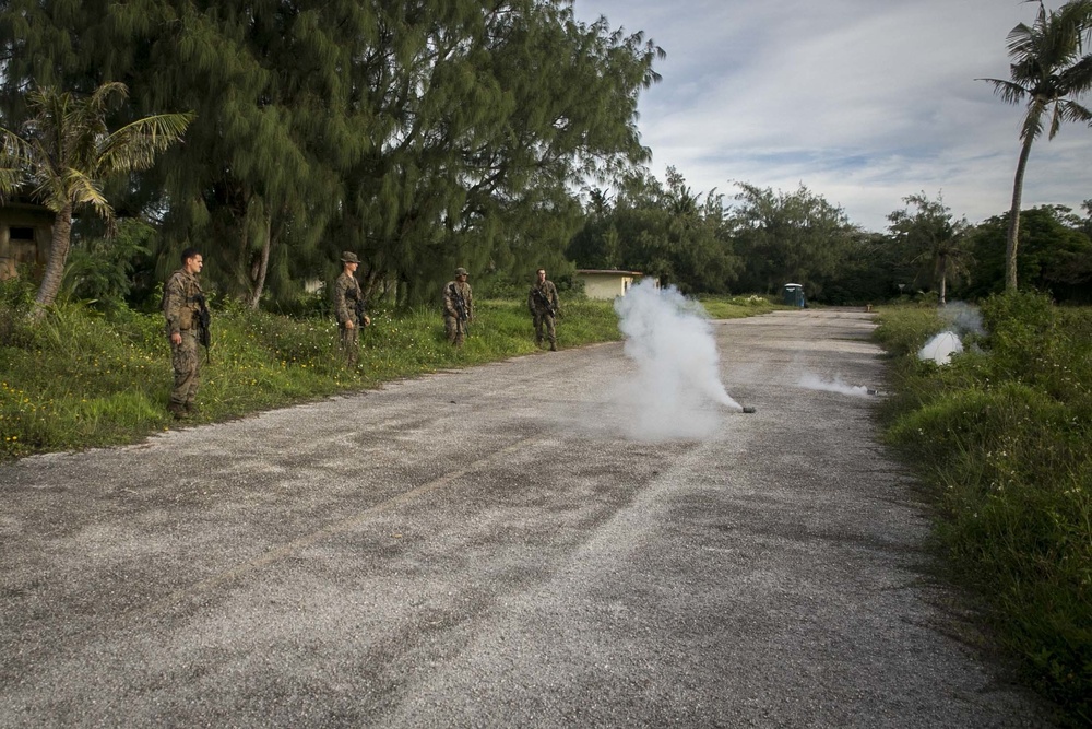 31st MEU Marines train with smoke, fire and grenades in Guam