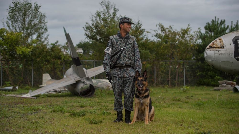 JASDF military working dog