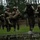 Fox's Battle of Hue City Fox's Battle of Hue City