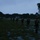 Fox's Battle of Hue City Fox's Battle of Hue City