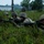 Fox's Battle of Hue City Fox's Battle of Hue City
