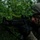 Fox's Battle of Hue City Fox's Battle of Hue City