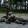 Fox's Battle of Hue City Fox's Battle of Hue City