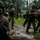 Fox's Battle of Hue City Fox's Battle of Hue City