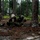 Fox's Battle of Hue City Fox's Battle of Hue City