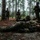 Fox's Battle of Hue City Fox's Battle of Hue City