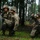 Fox's Battle of Hue City Fox's Battle of Hue City