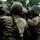 Fox's Battle of Hue City Fox's Battle of Hue City