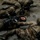 Fox's Battle of Hue City Fox's Battle of Hue City