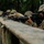 Fox's Battle of Hue City Fox's Battle of Hue City