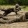 Fox's Battle of Hue City Fox's Battle of Hue City