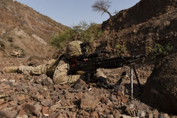 Alligator Dagger 2017