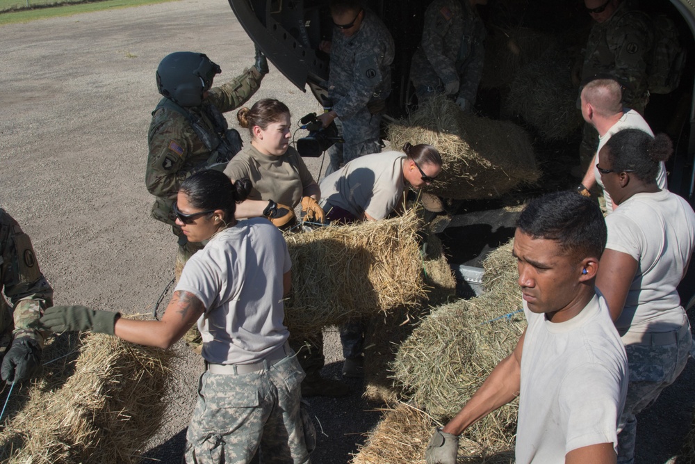 Texas Guard aviator guides helicopter deliveries of hay to stranded cattle in Texas