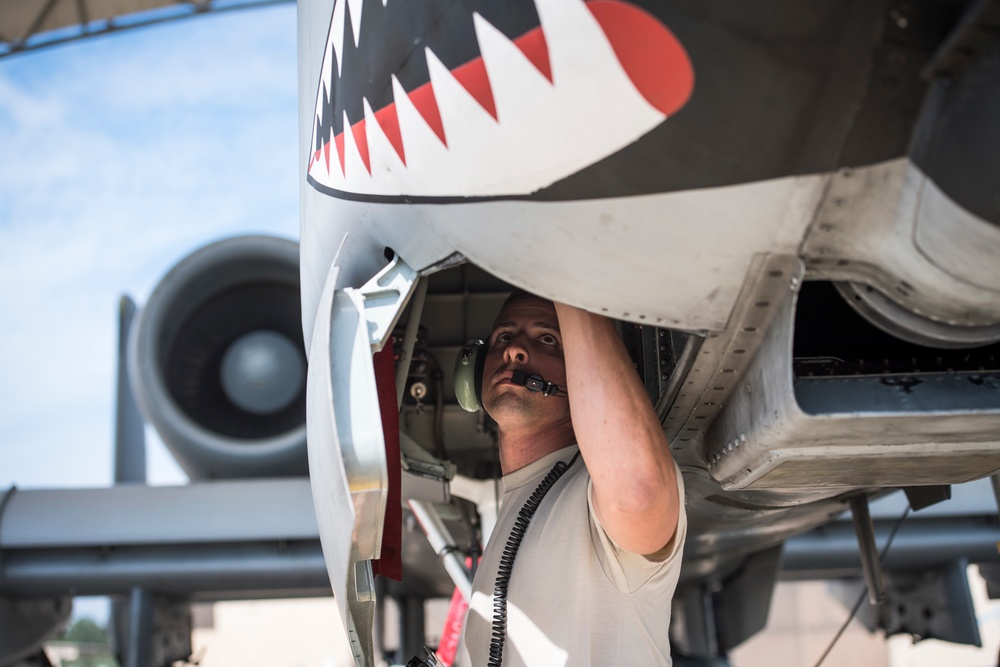 Moody prepares for Irma