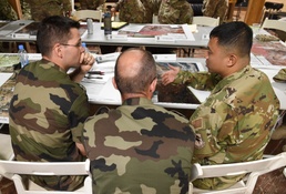 Camp Lemonnier personnel exercise mass casualty response procedure with French partners