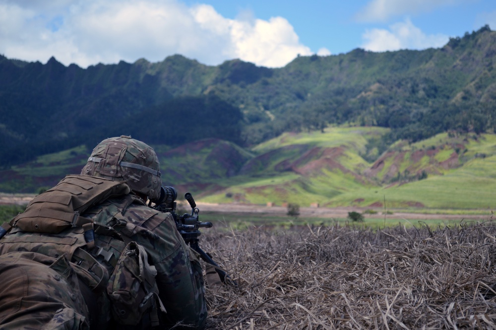 25ID strikes hard during live fire
