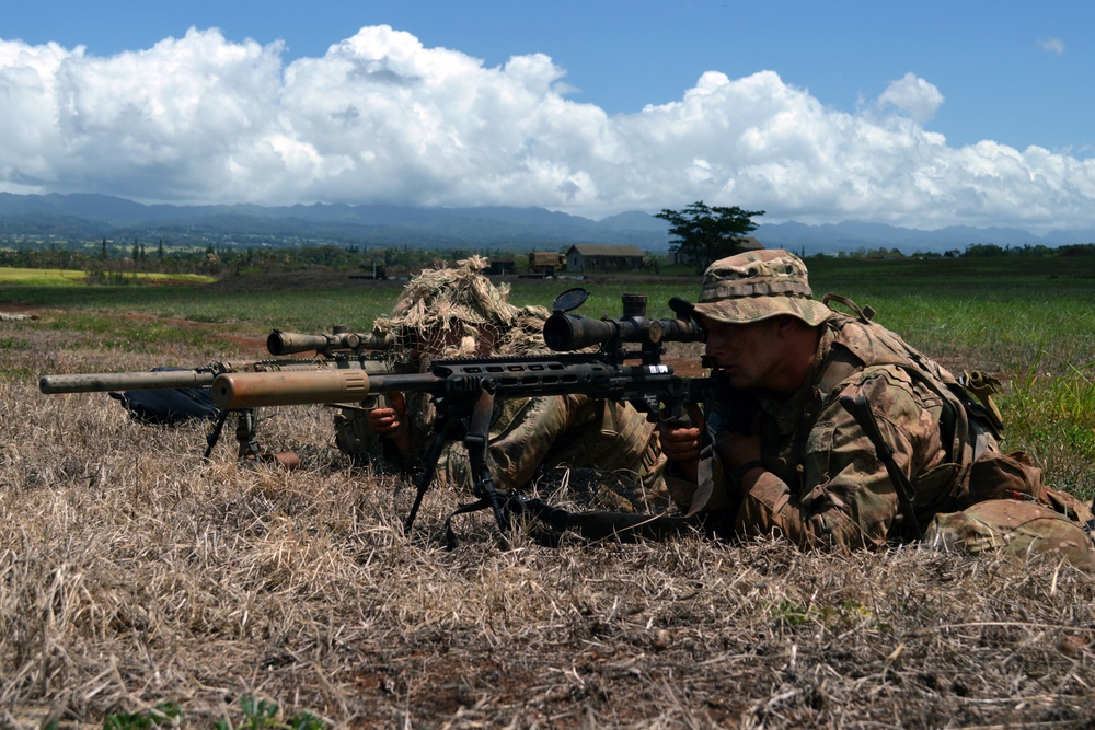 25ID strikes hard during live fire