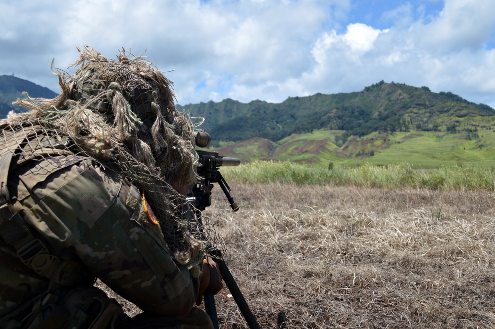 25ID strikes hard during live fire