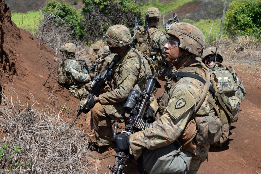 25ID strikes hard during live fire