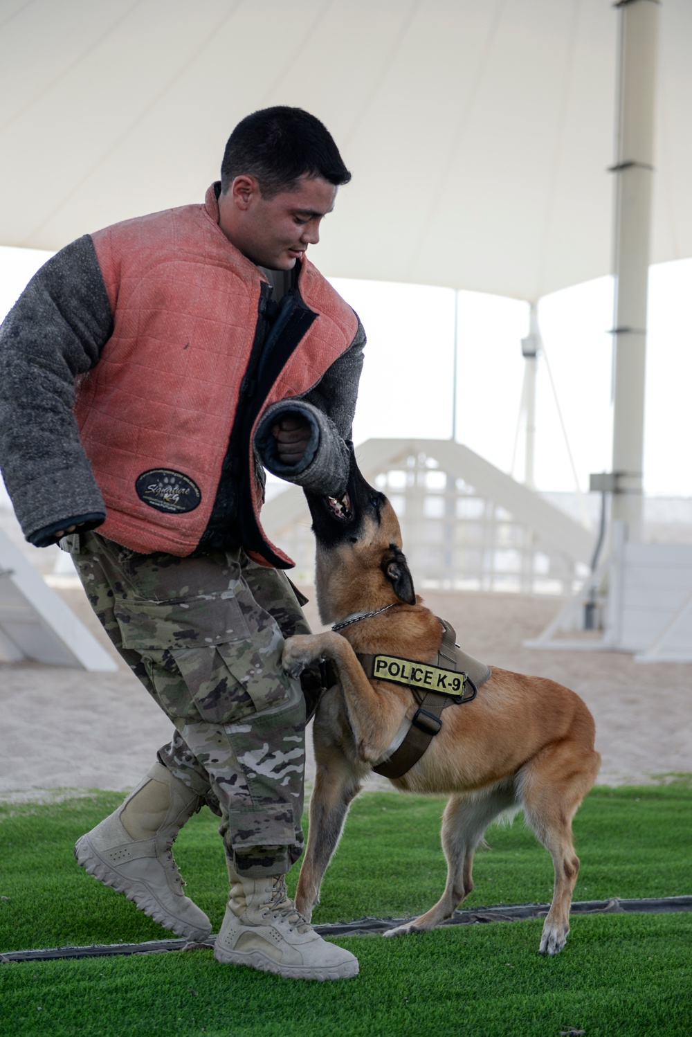 Military working dog exercise