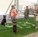 Military working dog exercise