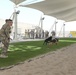 Military working dog exercise