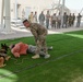 Military working dog exercise