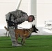 Military working dog exercise