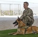 Military working dog exercise