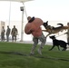 Military working dog exercise