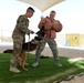 Military working dog exercise