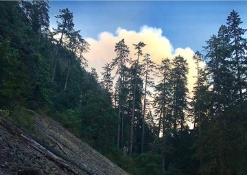 Eagle Creek Trail fire