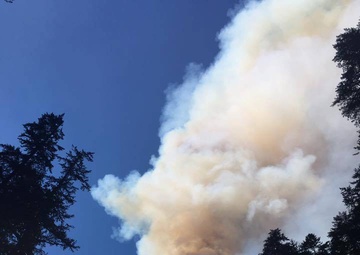 Eagle Creek Trail fire