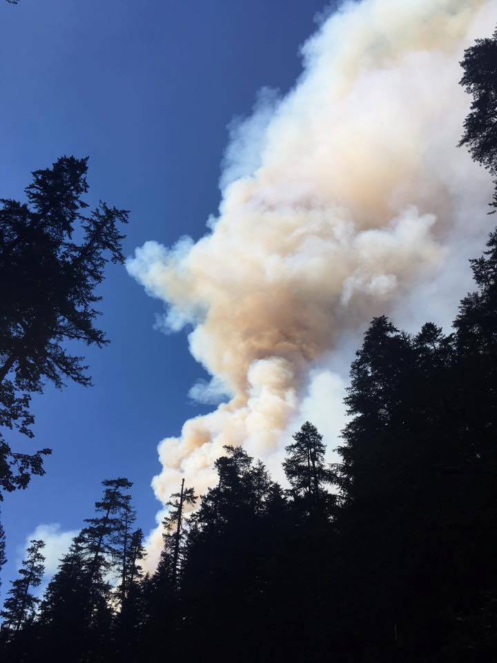 Eagle Creek Trail fire