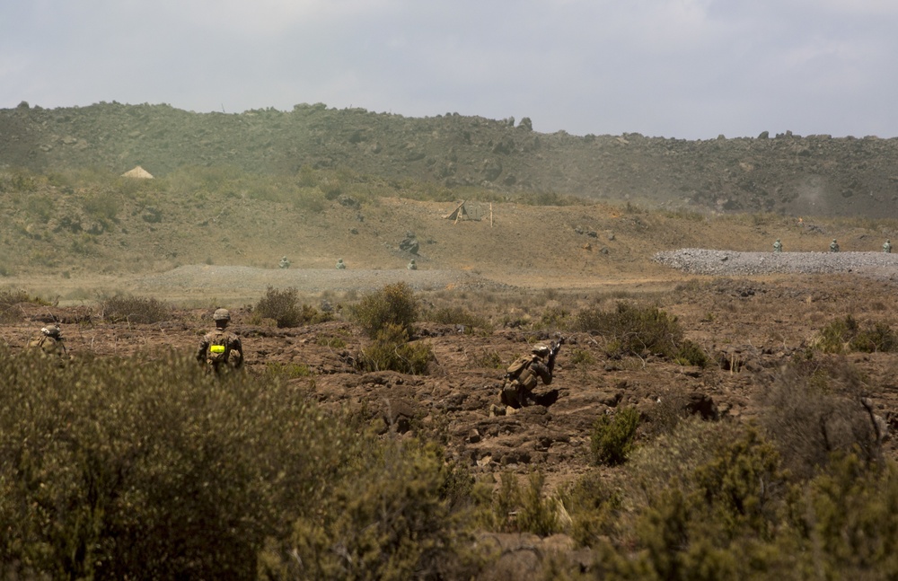 Kilo Co. conducts integrated platoon live-fire exercise