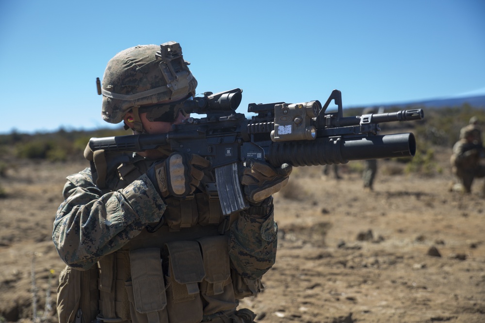 Kilo Co. conducts integrated platoon live-fire exercise