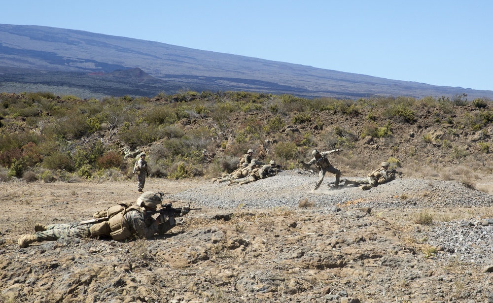 Kilo Co. conducts integrated platoon live-fire exercise