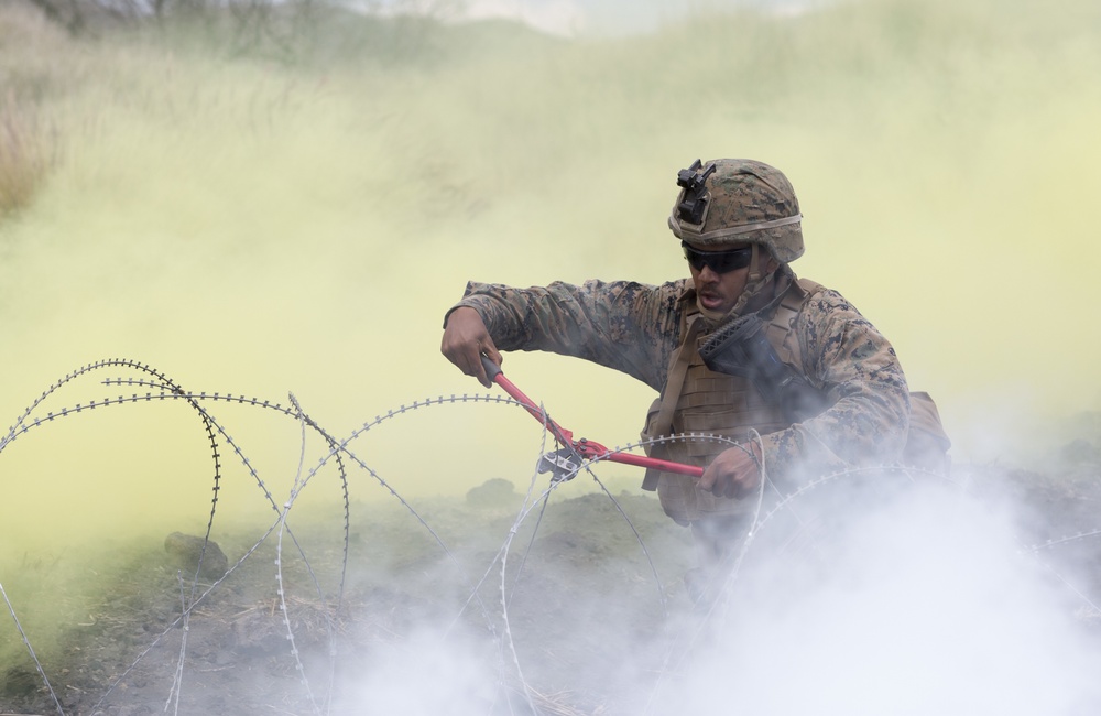 India Co. conducts integrated platoon live-fire exercise