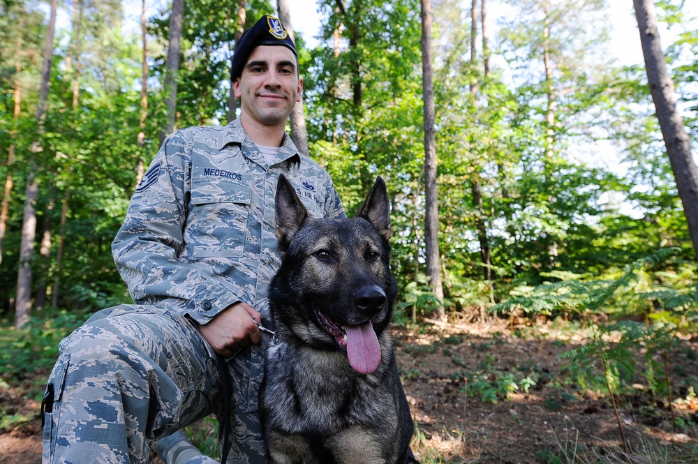 Army, Air Force band together for Airman’s best friend
