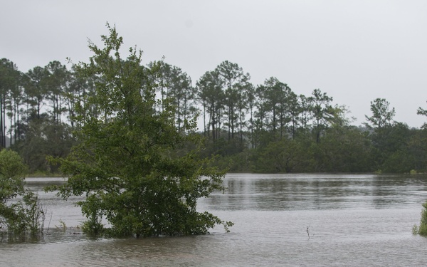 Hurricane Irma Recovery