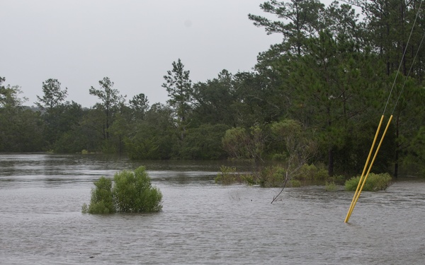 Hurricane Irma Recovery